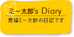 ~[Y's Diary